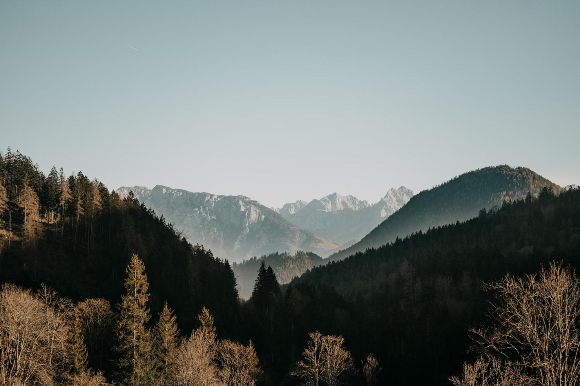 Feuriger Tatzlwurm Hotell Bayrischzell Exteriör bild